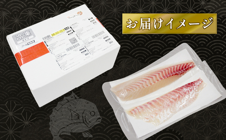 真鯛 鯛一郎クン 皮なし ロイン 4枚 株式会社タイチ D026-195002