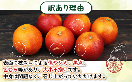 訳あり ブラッドオレンジ モロ タロッコ4kg 杉本屋 オレンジ B010-143023