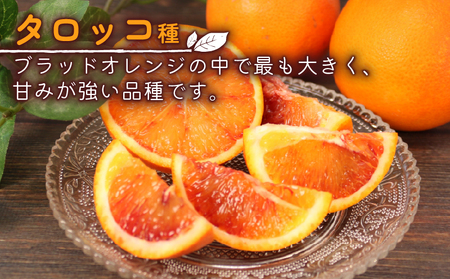 訳あり ブラッドオレンジ モロ タロッコ4kg 杉本屋 オレンジ B010-143023