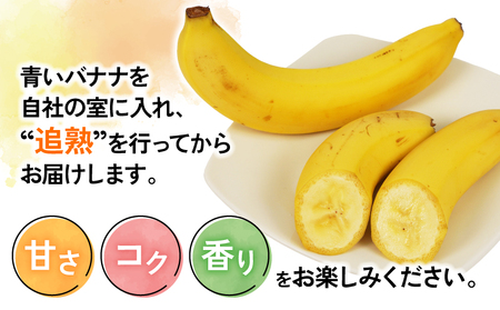 【果物】熟サンテーラバナナ約3kg徳田青果果物|F010-194001