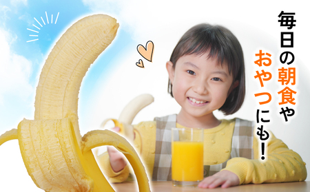 【果物】熟サンテーラバナナ約3kg徳田青果果物|F010-194001