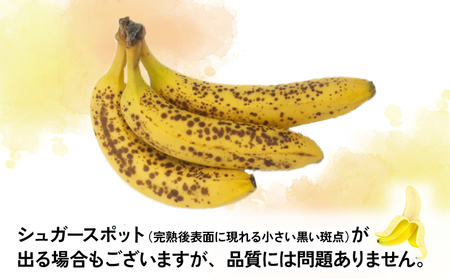 【果物】熟サンテーラバナナ約3kg徳田青果果物|F010-194001