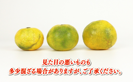 極早生みかん 家庭用 9kg サイズ不揃い 兵頭農園 果物 果物 B010-055007