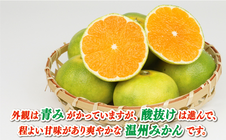 極早生みかん 家庭用 9kg サイズ不揃い 兵頭農園 果物 果物 B010-055007