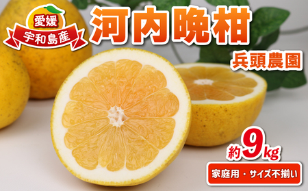 河内晩柑 9kg 愛媛みかん 兵頭農園 愛媛みかん B012-055009