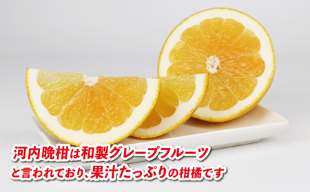 河内晩柑 9kg 愛媛みかん 兵頭農園 愛媛みかん B012-055009