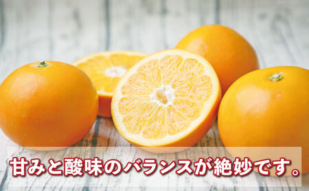 大谷 伊予柑 2kg 特選 フレッシュつちやま 先行予約 ダイヤ オレンジ おおたに いよかん 伊予かん 希少 果物 くだもの フルーツ 柑橘 みかん 蜜柑 愛媛みかん 愛媛蜜柑 愛媛ミカン 吉田みかん 宇和島みかん 産地直送 数量限定 国産 愛媛 宇和島 B012-096034