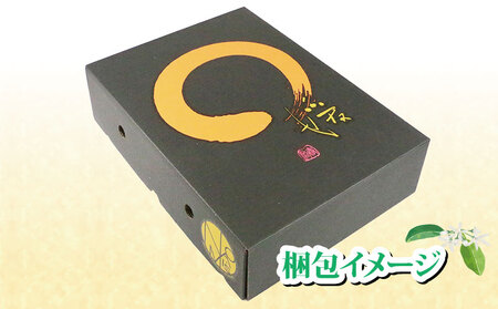 大谷 伊予柑 2kg 特選 フレッシュつちやま 先行予約 ダイヤ オレンジ おおたに いよかん 伊予かん 希少 果物 くだもの フルーツ 柑橘 みかん 蜜柑 愛媛みかん 愛媛蜜柑 愛媛ミカン 吉田みかん 宇和島みかん 産地直送 数量限定 国産 愛媛 宇和島 B012-096034