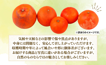 訳あり ブラッドオレンジ タロッコ 5kg オレンジ つばさ農園 B010-048015