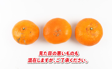 【甘平】【2026年2月中旬～下旬発送】5kg兵頭農園甘平B018-055010