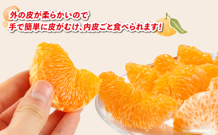 【甘平】【2026年2月中旬～下旬発送】5kg兵頭農園甘平B018-055010