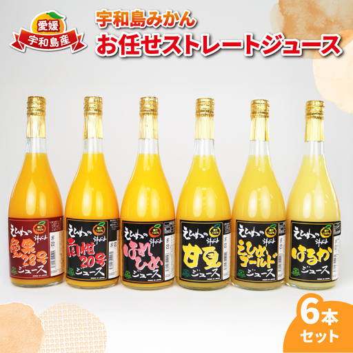 みかんジュース 宇和島みかん ストレート ジュース 6本 WF H020-024030
