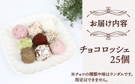 ロッシェ 25個 久遠 チョコレート チョコレート J010-167007