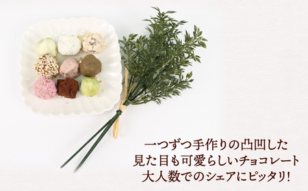 ロッシェ 25個 久遠 チョコレート チョコレート J010-167007