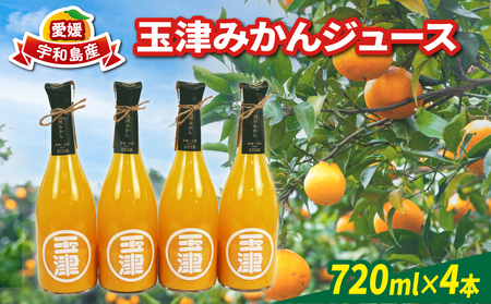 みかんジュース 720ml× 4本 玉津柑橘倶楽部 ジュース H018-072050