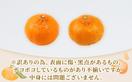 訳あり せとか 矢野青果 5kg せとか B010-171032