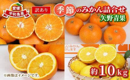 【果物】 訳あり みかん 詰合せ 10kg 矢野青果 果物 B010-171033