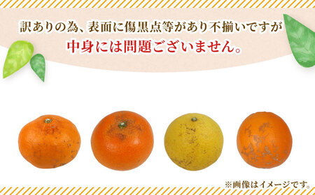 【果物】 訳あり みかん 詰合せ 10kg 矢野青果 果物 B010-171033