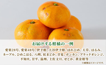 【果物】 訳あり みかん 詰合せ 10kg 矢野青果 果物 B010-171033