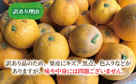 訳あり 河内晩柑 7 ～ 8 kg あかまつみかん 和製 グレープフルーツ 晩柑 かわちばんかん さっぱり 酸味 果物 くだもの フルーツ 柑橘 みかん mikan 蜜柑 愛媛蜜柑 愛媛みかん 農家直送 産地直送 数量限定 国産 愛媛 宇和島 B014-203001