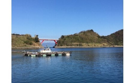 貝柱 アコヤ貝 100g × 4袋 計 400g こもねっと 冷凍 かいばしら 貝 海鮮 海の幸 魚介 唐揚げ 天ぷら 炊き込みご飯 ホタテ 真空パック 産地直送 数量限定 国産 愛媛 宇和島 D015-008001