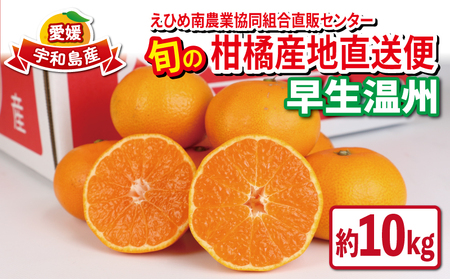 愛媛みかん 優品 早生温州 10kg JA 愛媛みかん B020-009001