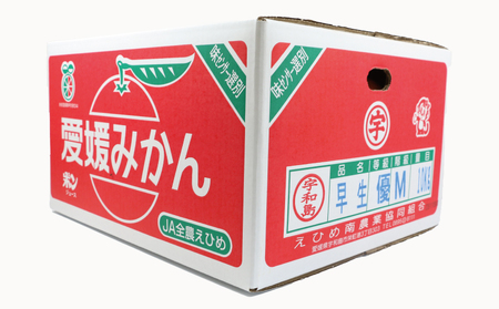 愛媛みかん 優品 早生温州 10kg JA 愛媛みかん B020-009001