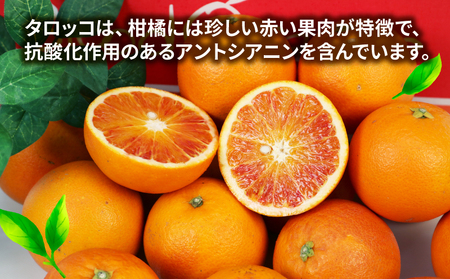 ブラッドオレンジ タロッコ 5kg JA オレンジ B020-009007