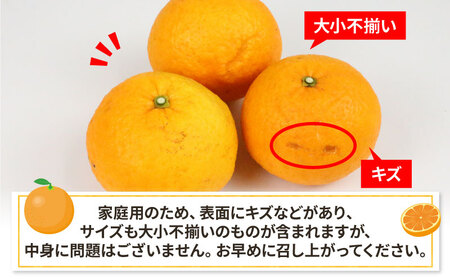 甘夏 計15kg 7.5kg 2箱 家庭用 平石農園 甘夏みかん 果物 みかん フルーツ みかん 柑橘 みかん 蜜柑 みかん 農家直送 みかん  産地直送 みかん 数量限定 みかん 国産 みかん 愛媛 みかん 宇和島 みかん B012-017004