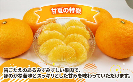 甘夏 12.5kg 家庭用 平石農園 甘夏 B010-017004