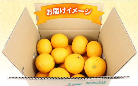 甘夏 12.5kg 家庭用 平石農園 甘夏 B010-017004