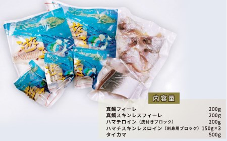 【刺身】海の幸セットA愛媛県漁業協同組合遊子支所刺身|D018-022001