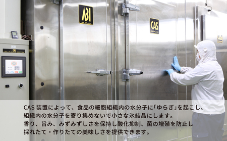 【刺身】海の幸セットA愛媛県漁業協同組合遊子支所刺身|D018-022001