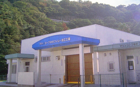 【刺身】海の幸セットA愛媛県漁業協同組合遊子支所刺身|D018-022001