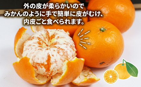 【柑橘】はれひめ4kgワールドファーマーズ柑橘|B012-024005