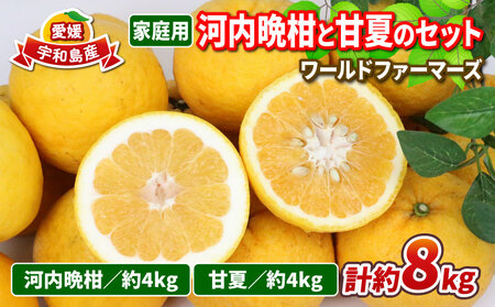 河内晩柑 4kg 甘夏 4kg 詰め合わせ セット ワールドファーマーズ 雑柑