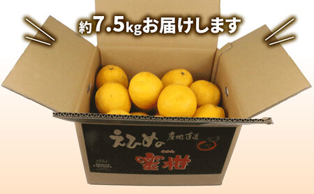 愛媛みかん 河内晩柑 7.5kg WF 愛媛みかん B012-024010