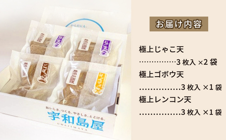 じゃこ天 セット 極上 じゃこ天 詰め合わせ 宇和島屋 ごぼう天 れんこん天 ゴボウ ごぼ天 レンコン 蓮根 すり身 練り物 冷蔵 惣菜 フライ おでん 煮物 アレンジ 出汁 小分け 酒 おつまみ 肴 蒲鉾 かまぼこ 魚肉 特産品 郷土料理 国産 愛媛 宇和島 C010-026001