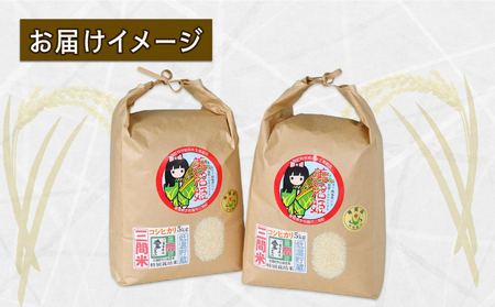 特別栽培米 コシヒカリ 計 10kg 令和6年度産新米 三間町特別栽培米生産組合 美沼姫 新米 お弁当 おにぎり 玄米 対応可 ふっくら ツヤツヤ  甘い 三間米 米 国産 愛媛 宇和島 G018-032001 | 愛媛県宇和島市 | ふるさと納税サイト「ふるなび」