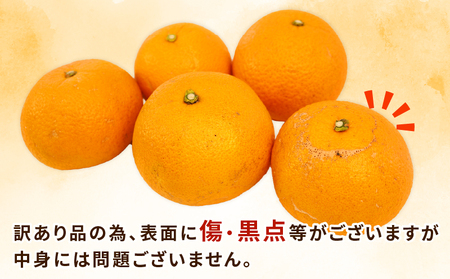 蜜柑&八朔さま落札。TCスキャン　PCEye5 呼び鈴など 柑橘物語 八朔ゼリー 6個セット | 【BEMAC公式通販】えひめ自然