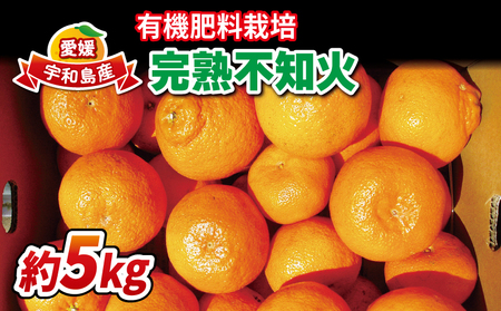 不知火 5kg 有機肥料栽培 完熟 ほんとのみかん清家農園 不知火 B018-040001
