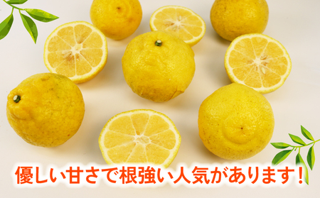 【柑橘】はるか9kg家庭用つばさ農園柑橘|B010-048002