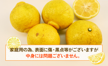 夏みかん大好きばあば 1524589_00_1720761930.jpg