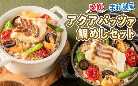 鯛めし アクアパッツァ あさり 3個 あこや貝 3個 コバヤ ご飯 D020-059002