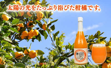 【ジュース】まろやか柑橘の飲み比べ 720ml×5本 ヨシファーム オレンジジュース みかん  H014-067002