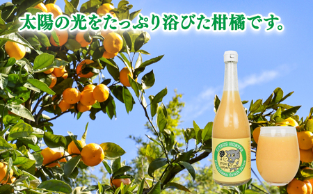 【みかんジュース】 さっぱり 柑橘 の 飲み比べ 720ml ×5本 ヨシファーム ジュース H014-067003
