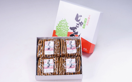 【練物】じゃこ天40枚小林フーズ 練物|C012-070001