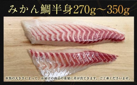 みかん鯛 270g~350g 刺身 宇和島プロジェクト 冷凍 真鯛 鯛 マダイ