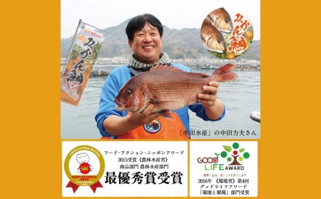 みかん鯛 270g~350g 刺身 宇和島プロジェクト 冷凍 真鯛 鯛 マダイ