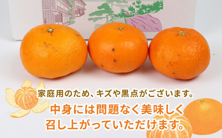 【甘平】高級柑橘2kg家庭用ハウス栽培ハマみかん甘平|B012-075002